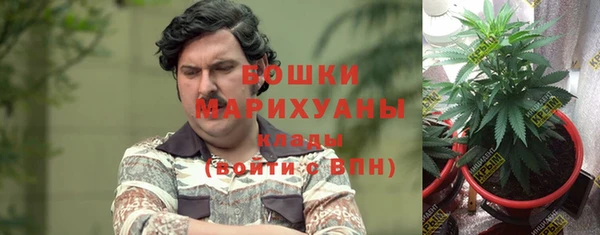 ПСИЛОЦИБИНОВЫЕ ГРИБЫ Пролетарск
