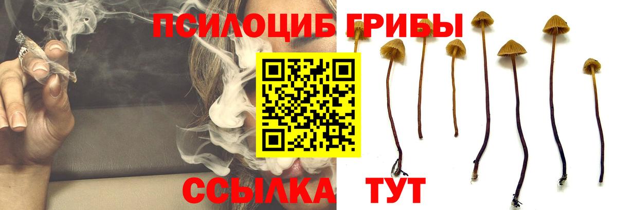 Галлюциногенные грибы мицелий  Галлюциногенные грибы мухоморы  Отрадный  Вход с VPN 